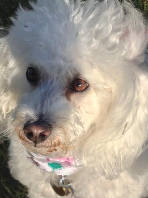 20130615_005732000_ios