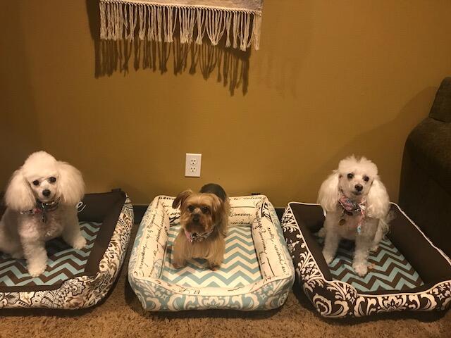3amigas