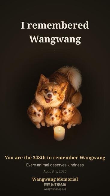 wang-wang-and-pups