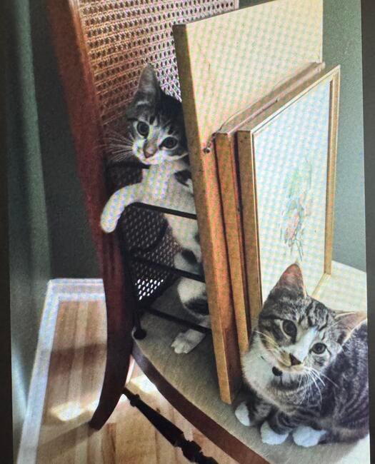 8327