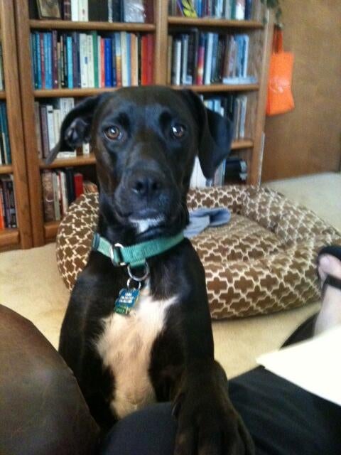 2012-08-18-sugar