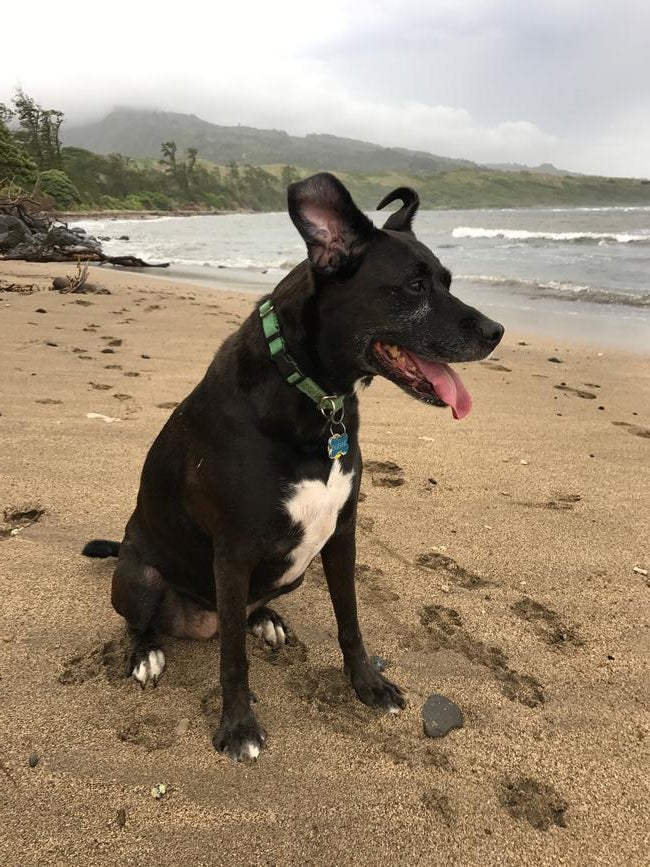 2018-05-sugar-at-the-beach