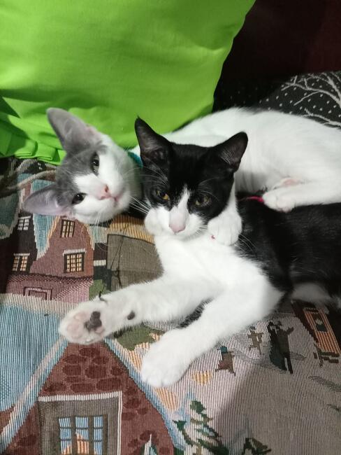 kike-and-coco
