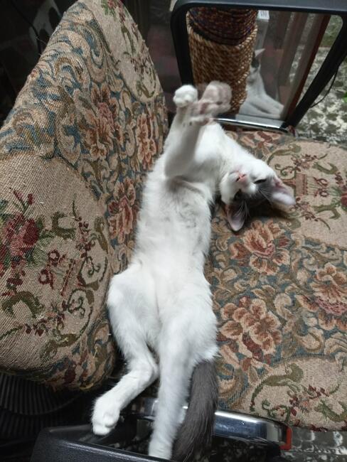 kike-strech