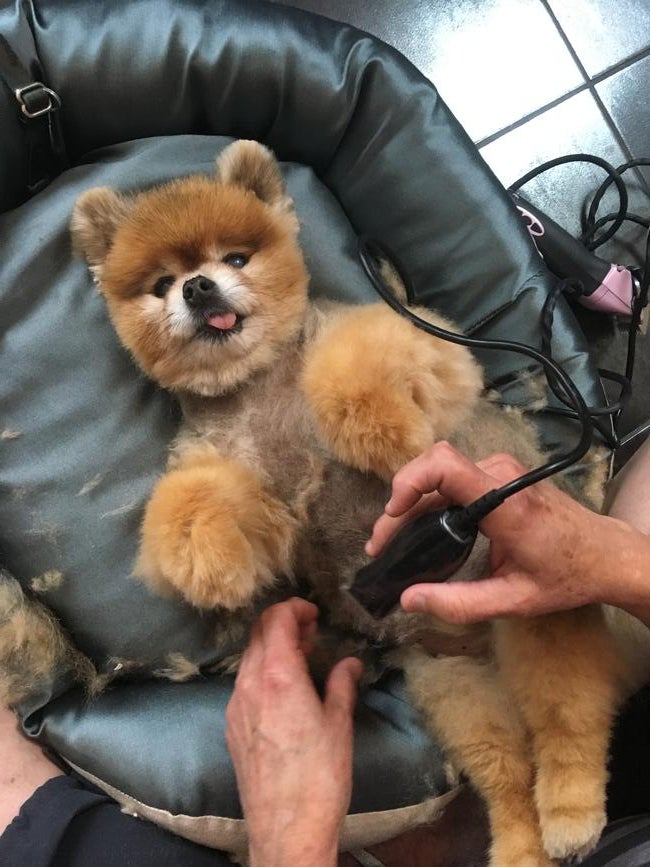 rg-haircut