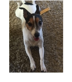 1000007640