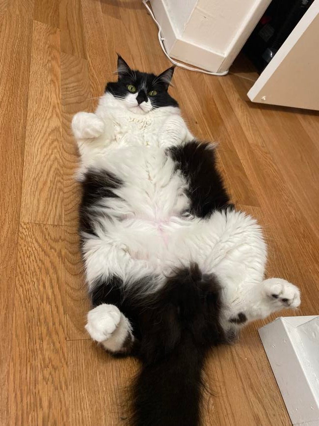 68331271481__51f3041b-5953-4c7c-be6c-b400e5c9ca7e