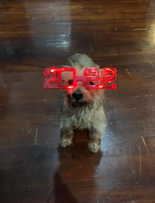 363e3d7a-a39e-40ca-ad2d-8f7bda726b0c