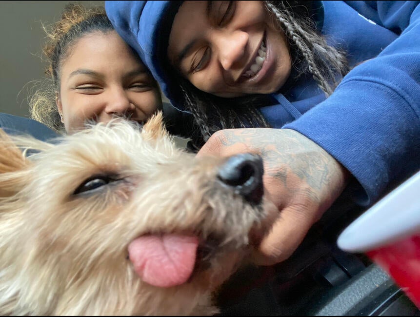 534cd9a7-9852-4b59-84d5-20da49fdf482