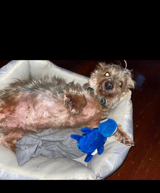 6c8ccfad-bff5-4cb6-98a9-65b26767b26e