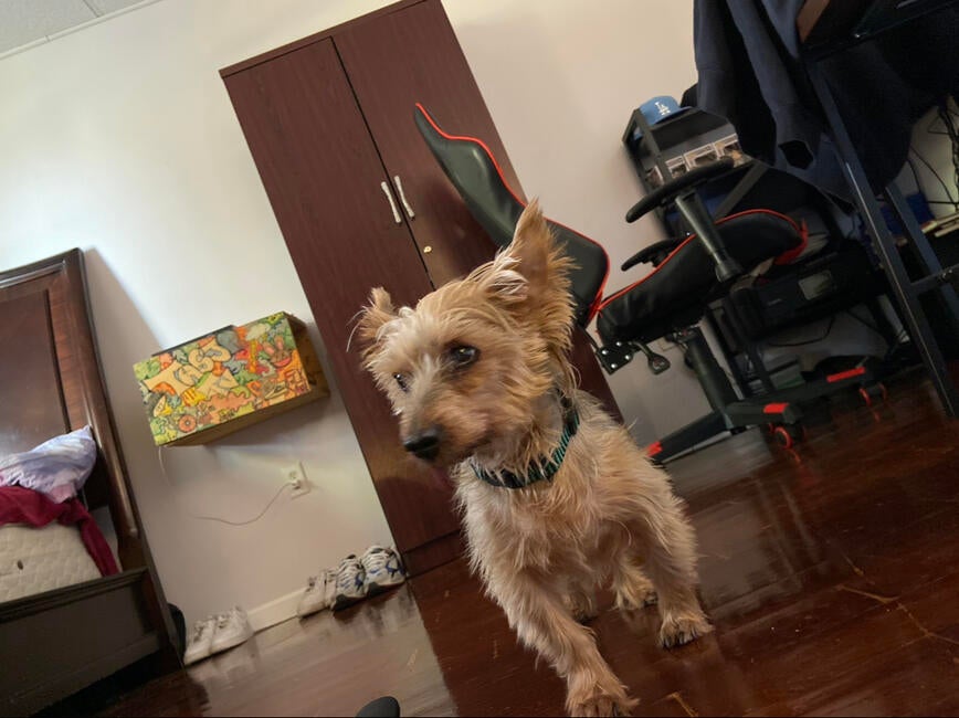 8c83a4e3-bfa7-42d6-8b89-58fb03df691f