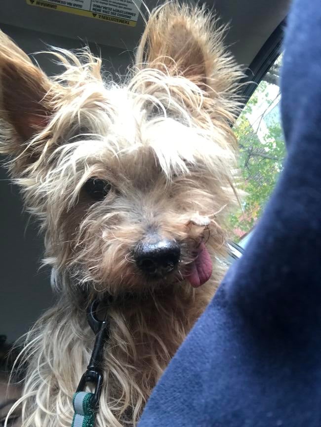 aec22366-4ba8-4ae6-9d58-91d81612a1b0