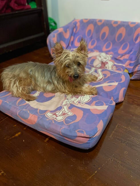 c6e40c8a-9754-4915-9792-38063e1bbae2