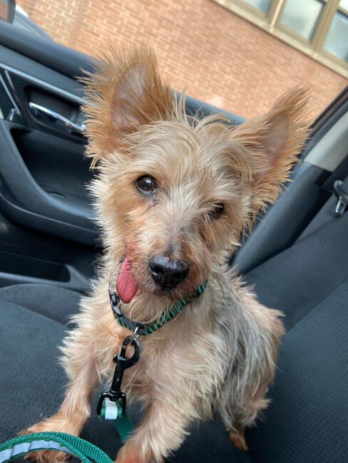 d54d4f4e-dc01-49c4-b524-36d73b9aba5a