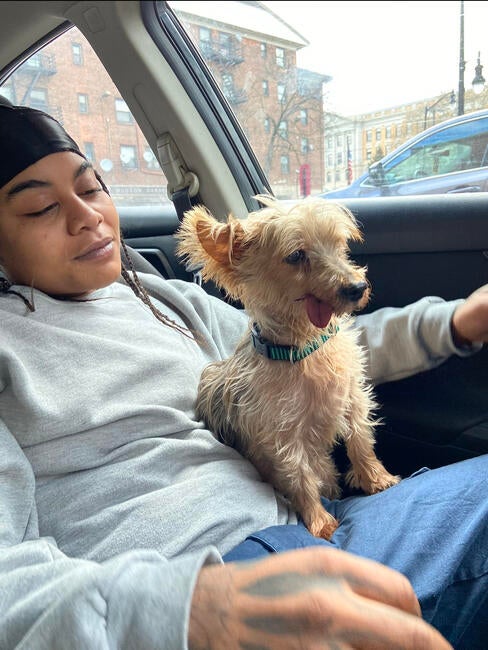 f4dbe60b-f9c7-4f71-83ff-57177b30f815