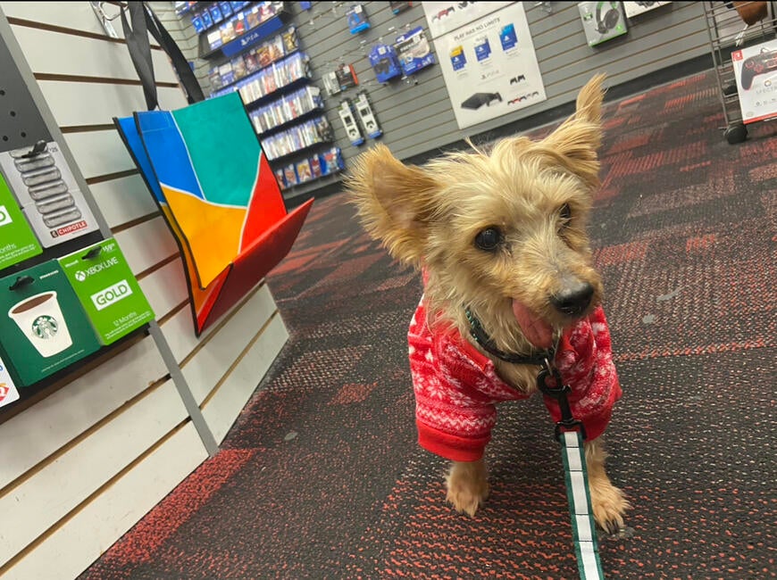 fccc42a6-0033-452e-acb9-542576b5121e