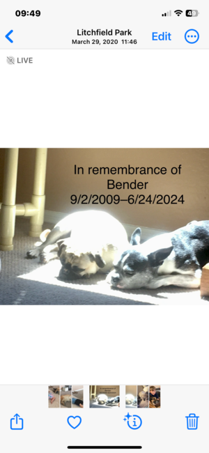 43ece64b-3664-4cf3-83c1-477a2a070359