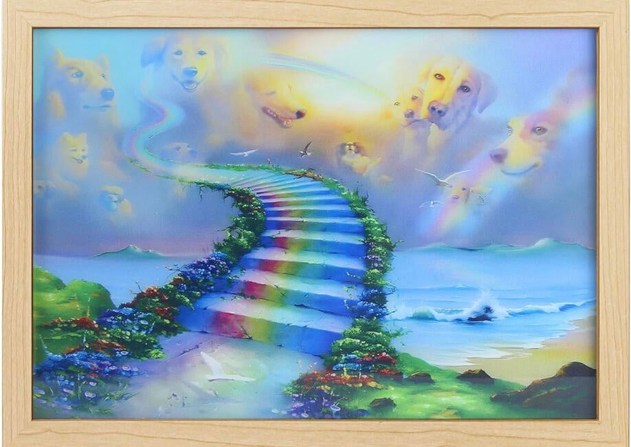 b3787d3f-386e-45e4-b8e4-dddfad8f746d