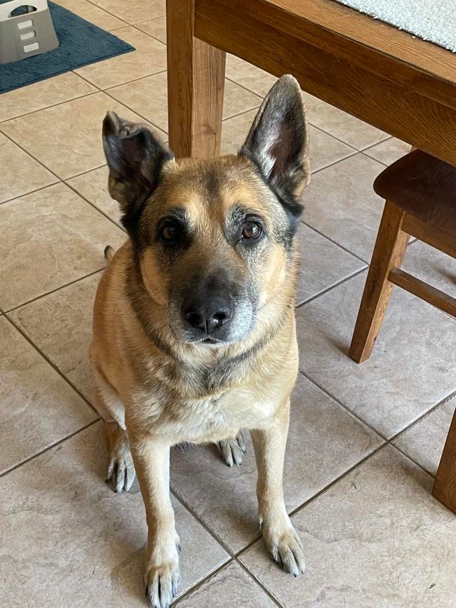 cf7d2e8e-60a6-4544-b790-36c5846d8ce4