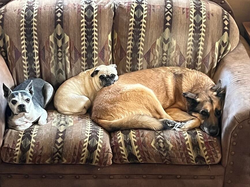 df94b74d-953b-49f2-9427-72672a1c80a0