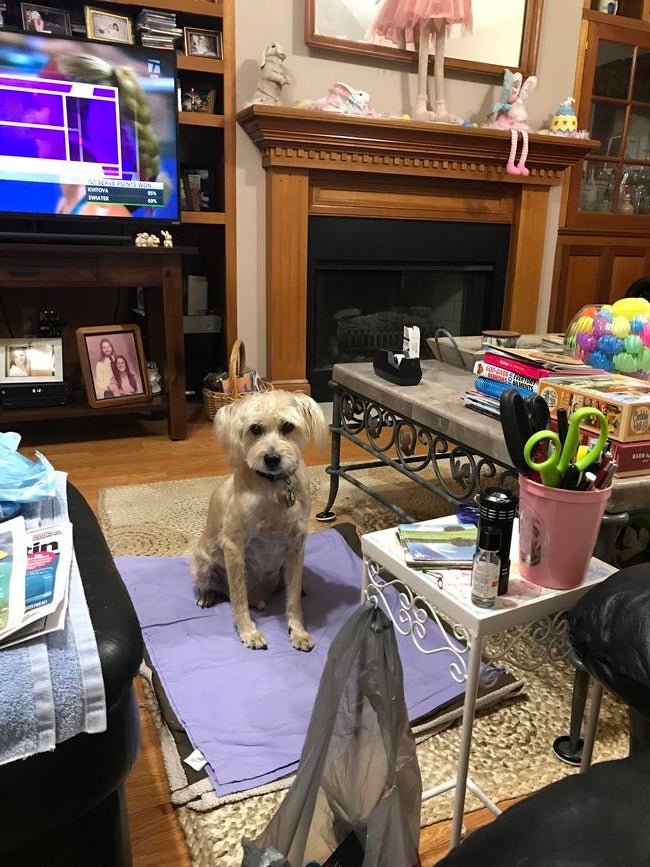 335dca33-16b9-44e3-ac2a-27098d45a087