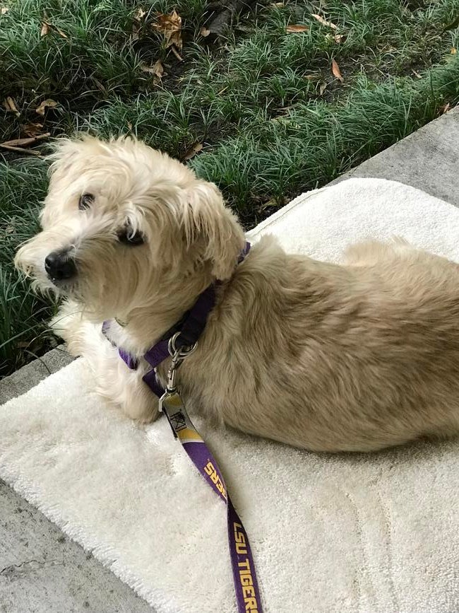 4e7dc26b-1fa0-4eea-9b1f-6e7ac72a3659