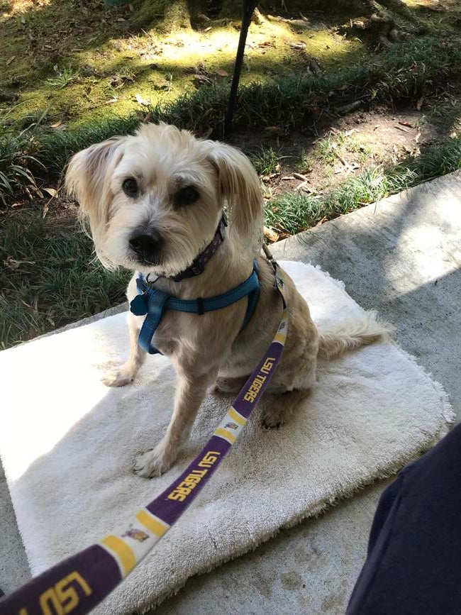 75bf40bd-27a9-4fb6-9552-b39d7ac97808