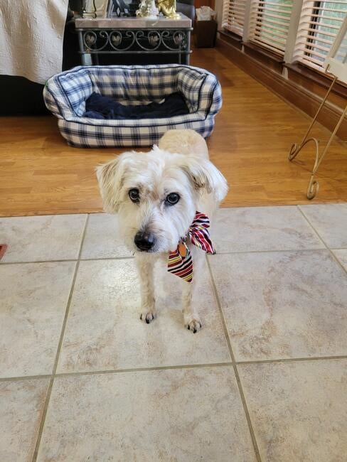 abad18d8-b830-459f-a5f8-b4bf4b43efef