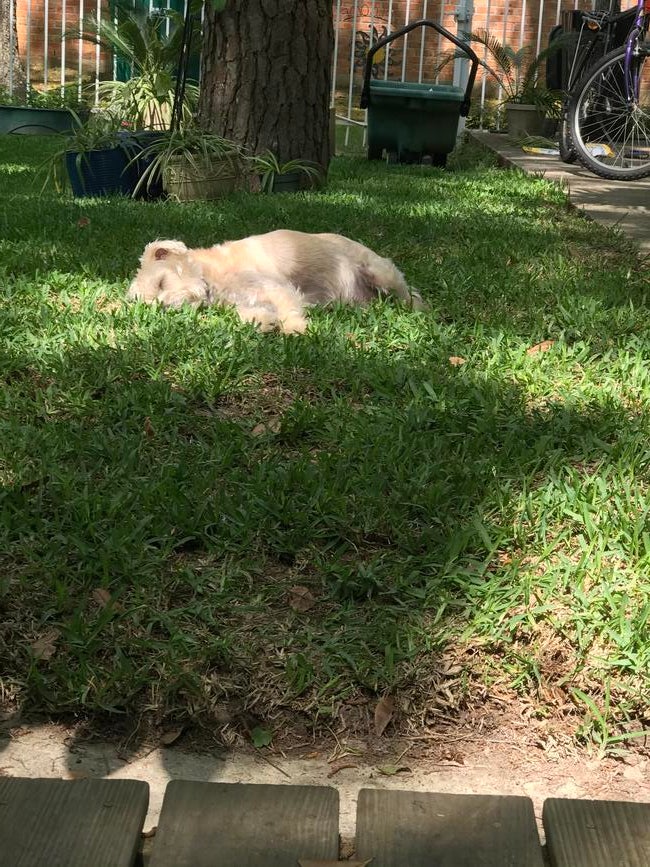 b31f0ad7-8f3d-4632-ab24-b740c450ad0c