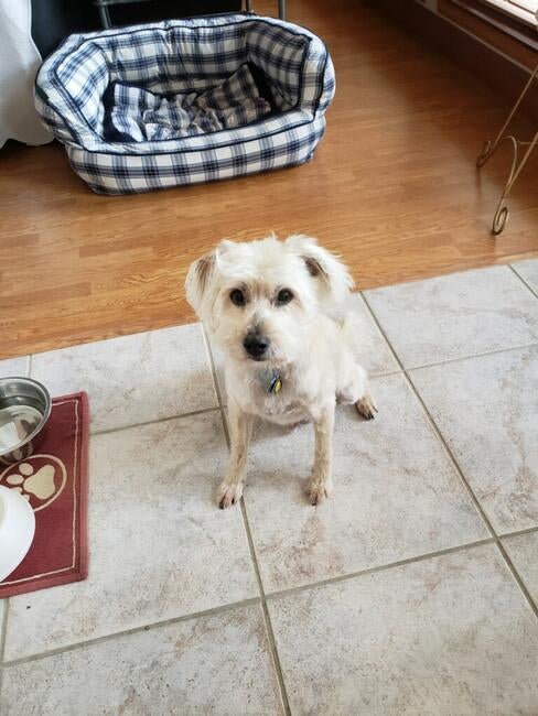 d10436ce-5203-4e79-b084-d12a4e456d76