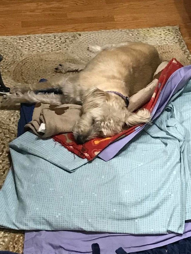 e0442d38-2a4c-471b-bfa0-12a18f0c0142