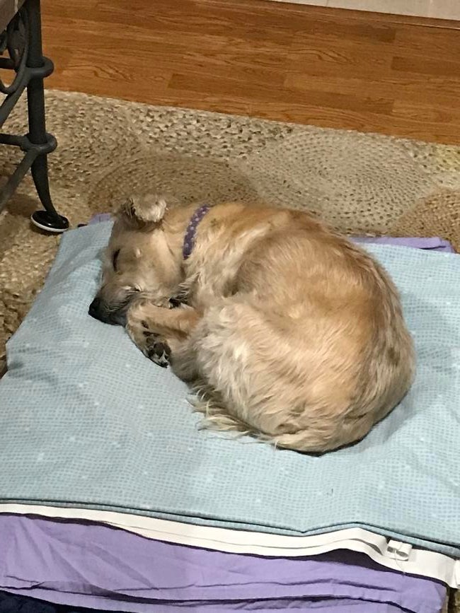 f6bc61d4-fd80-4716-ab25-cb54ae256967