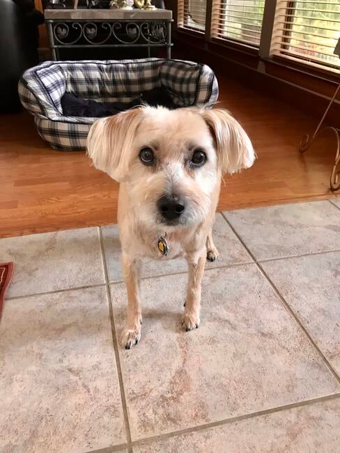 f74de8c2-e30c-47d7-a4ce-8779dd27215d