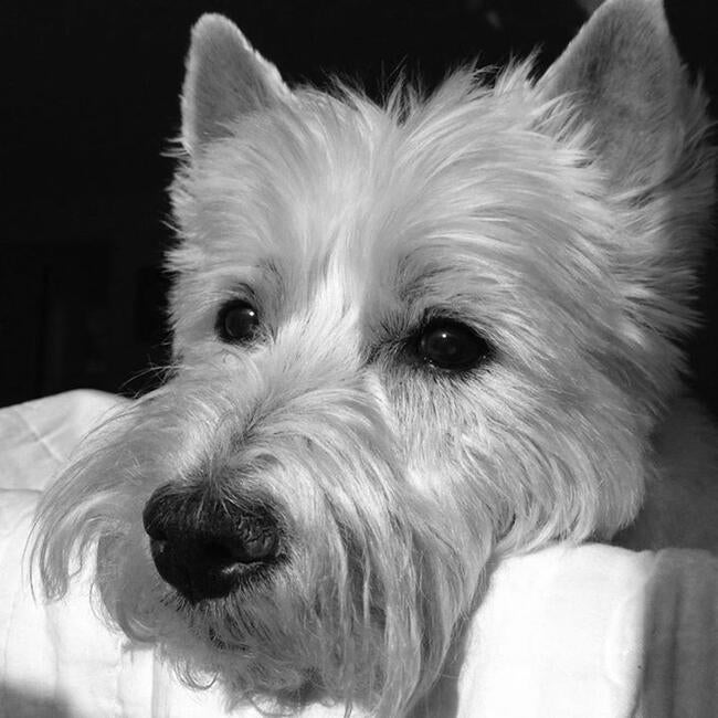 katie-portrait-blk-and-wht