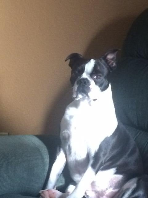 photo-(2015_12_31-00_34_15-utc