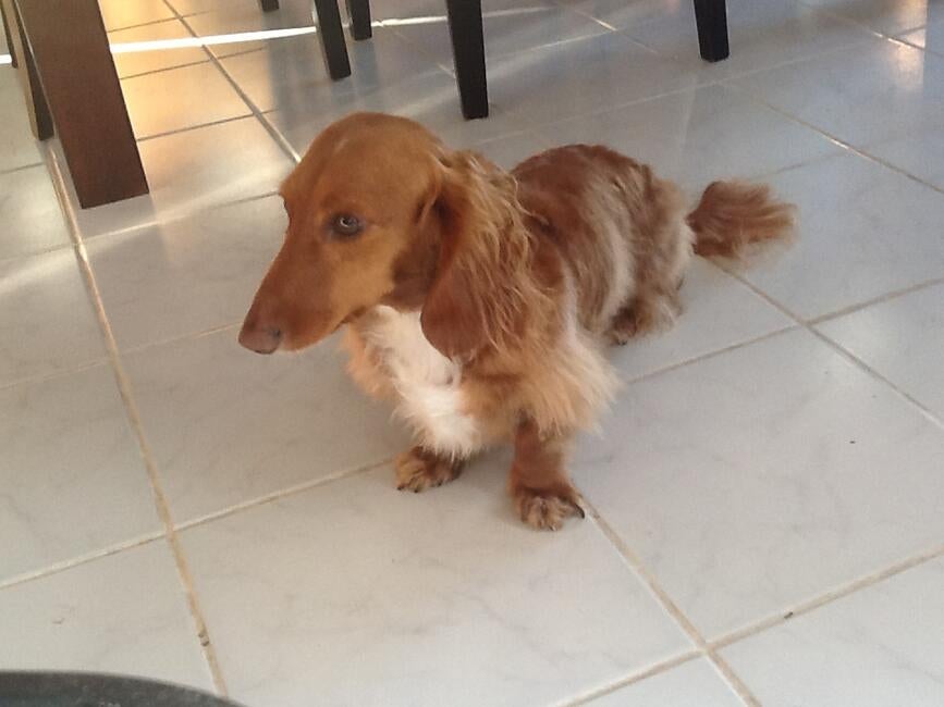 rodgers-ipad-9-4-14-035