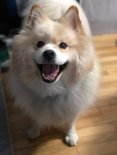 a33c6b28-44c6-4956-9c06-04b15ad57be0