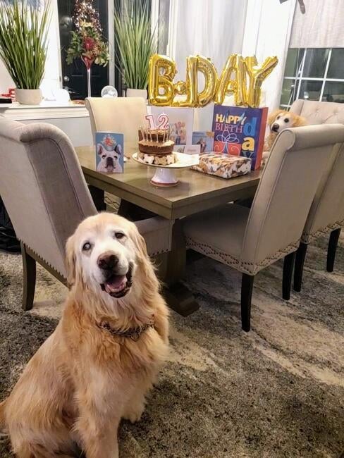 20230112_184705_exported_166_1673574611550_0