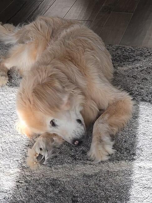 20241015_090320_exported_33_1728997425508_0