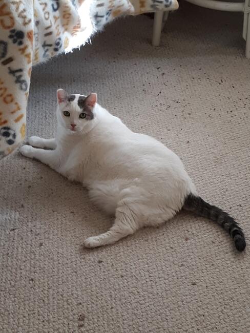 resized_20201203_140217_426045672918844