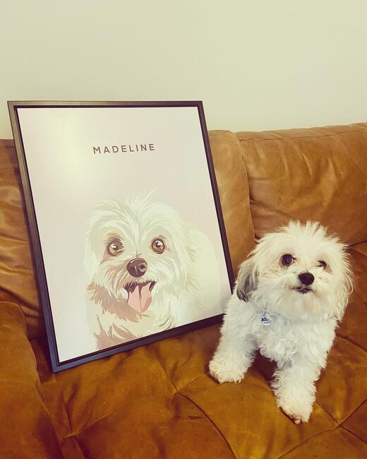 3b08999a-7f38-4e9d-9cec-0db8eca43e28