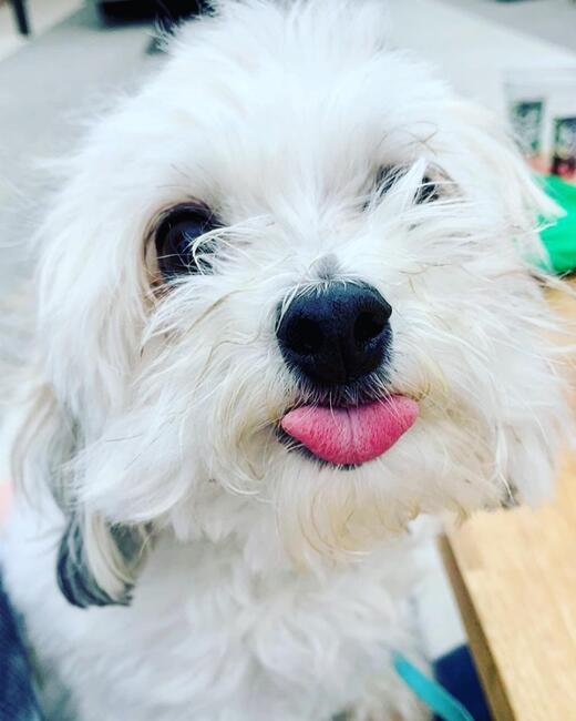 da0ac8c2-ecab-46b3-ac0d-a2d47c784af2