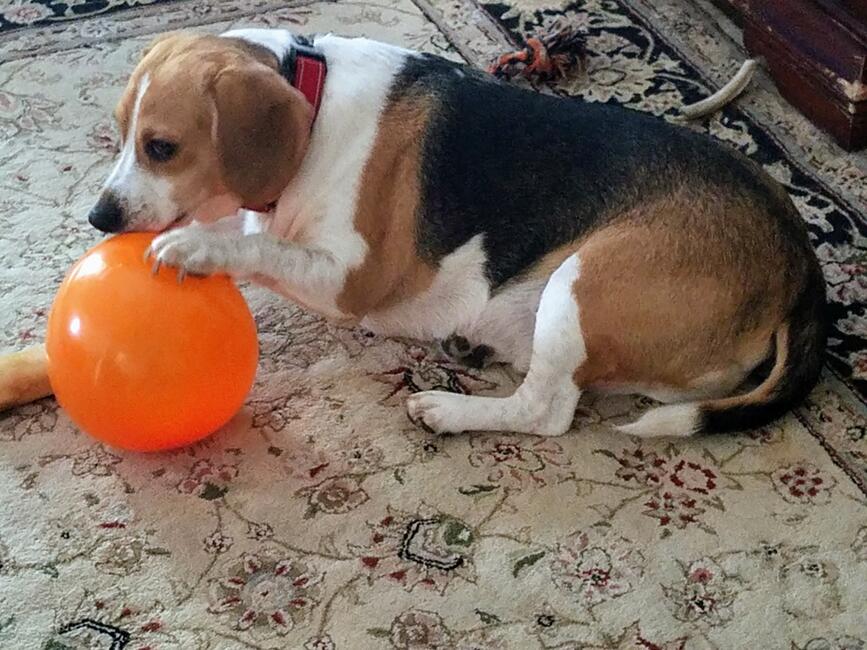 20190124_144700-copy