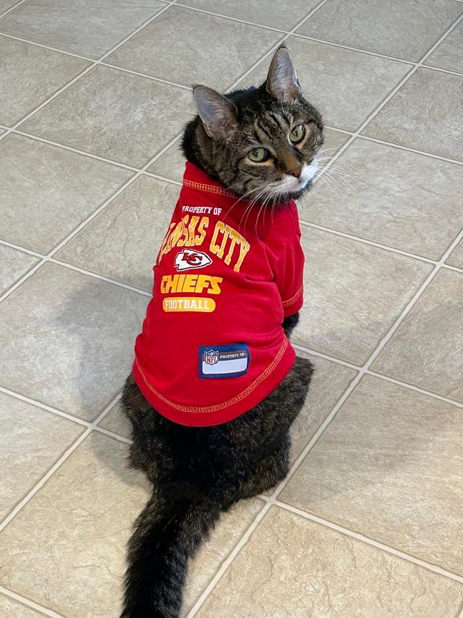 caruso-in-chiefs-tshirt