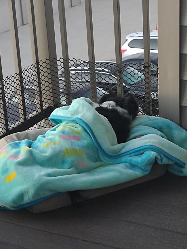 img_20240907_064837605