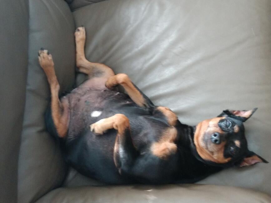 img_20181004_103333996