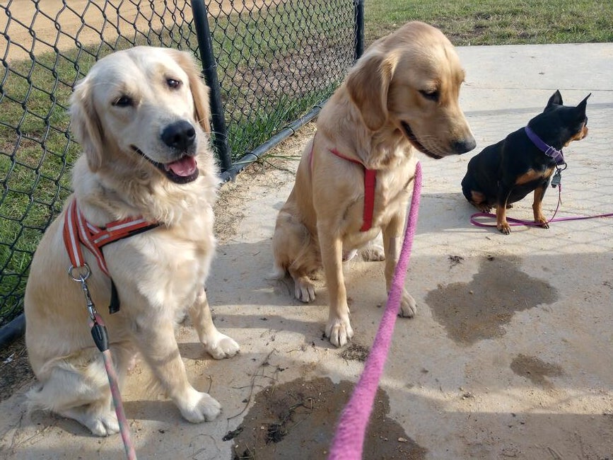 img_20181016_154427053_hdr