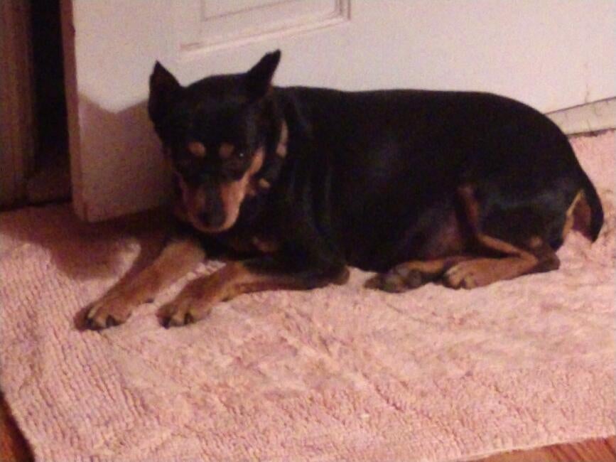 img_20190323_210003318