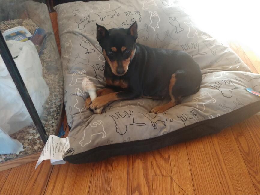 img_20190331_173053101