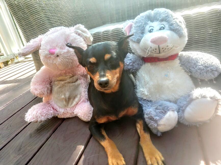 img_20190622_161551178_hdr